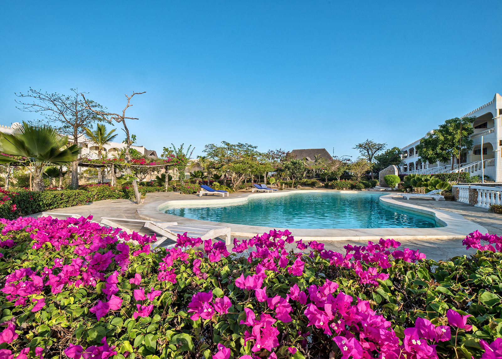 Jumbo Resort Watamu 3